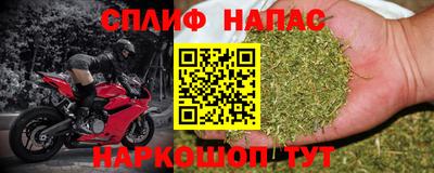 прущие грибы Кингисепп