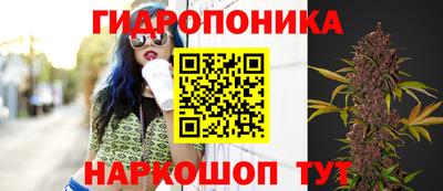 прущие грибы Кингисепп