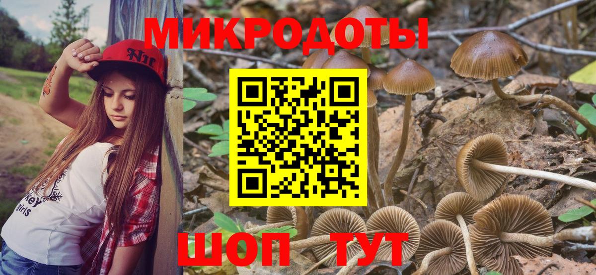 Моршанск  Псилоцибиновые грибы MAGIC MUSHROOMS  Вход с VPN 