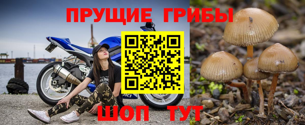 Псилоцибиновые грибы Magic Shrooms Моршанск